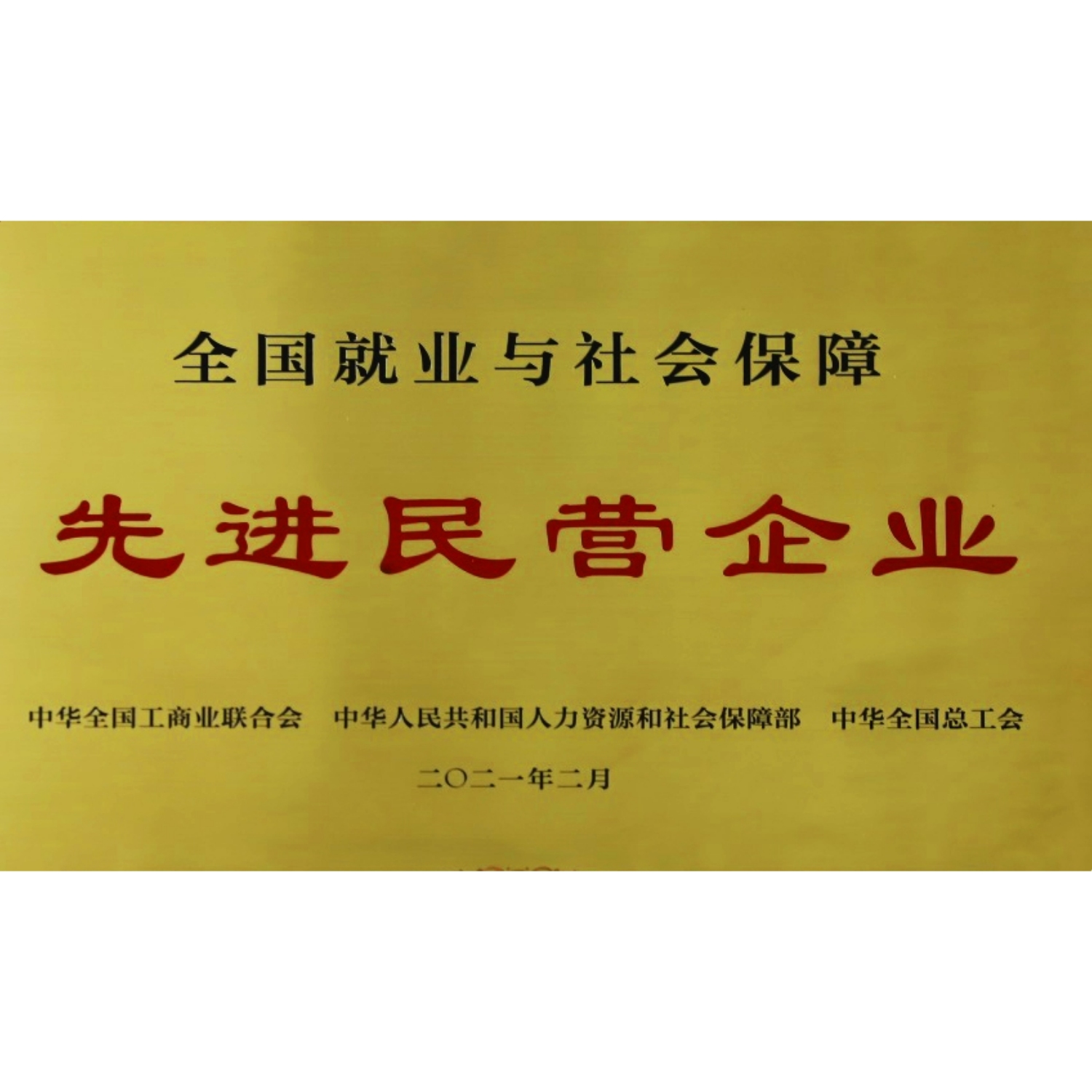全國就業與社會保障先進民營企業